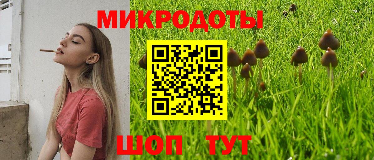 Галлюциногенные грибы мицелий Алексеевка